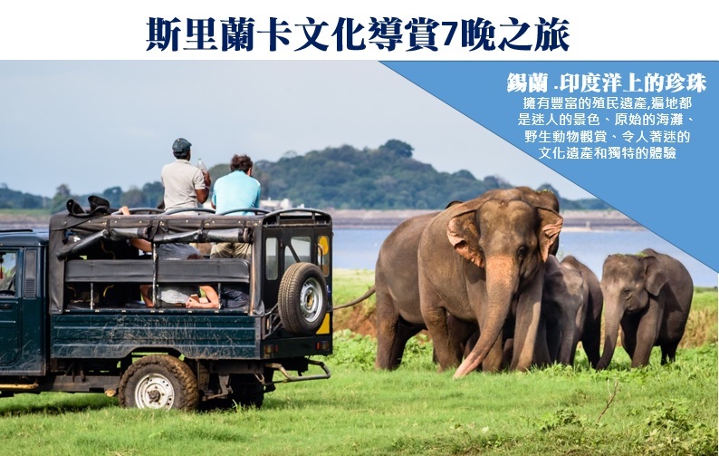 最高每位勁減$1000【小眼睛看世界】斯里蘭卡文化導賞7晚之旅